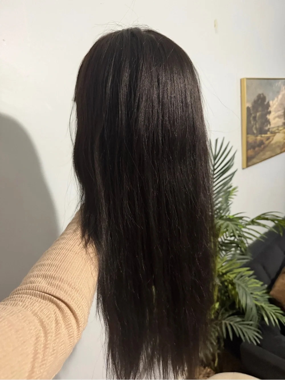 Sleek Dark Brown Long Straight Wig with Full Fringe